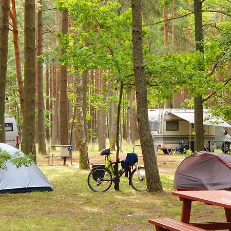 Pajurio Kempingas Campsite Klaipeda