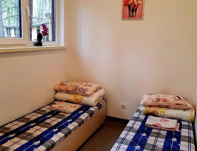 אתר קמפינג Pajurio Kempingas קלייפדה