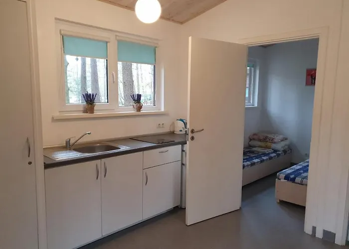 אתר קמפינג Pajurio Kempingas קלייפדה