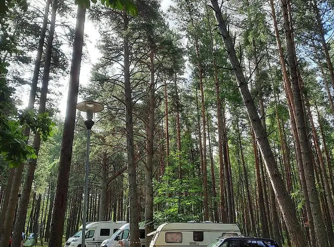 אתר קמפינג Pajurio Kempingas *